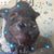 Julia Gunger's profile image