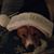 Shelby Neidlinger Stence's profile image