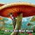 Dean Birkenshaw's profile image