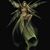 Susan Megyesy's profile image