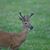 Brian Waldrop's profile image