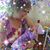 Martha DeChant's profile image