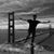Andrea Rapino's profile image