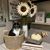 Kristy Orth Brewer's profile image