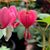 Rosemarie Wilson Slotter's profile image