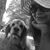 Shadira Rosben's profile image