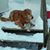 Cheryl Wilckens's profile image