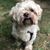 Debbi Blouin's profile image