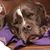 Andrew J. Sabol's profile image
