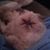 Jason Barnes's profile image