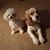 Donna D Gibbs's profile image