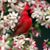 Katherine Haynes Smith's profile image