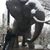 Kelley Shaver's profile image