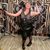 Rachelle Zabriskie Greenwell's profile image