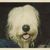 Forrest Preece's profile image
