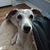 Deb Kendall's profile image