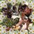 Debbie Ernst's profile image