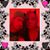 Jennifer M Adamski's profile image