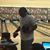 Joe Williams's profile image