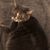 Lynda Jordan's profile image