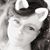 Renee McAlexander Lamping's profile image