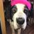 April Arns's profile image