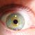 Scotty Bee's profile image