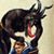 Kevin Findley's profile image