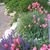 Margie Hammerschmidt's profile image