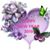 Paula Jackson's profile image