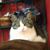 Cathy Alexander's profile image