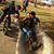 Debbie Shaftan Marsh's profile image