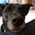 Celest Taylor's profile image