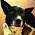 Ace Magee's profile image