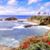 Cindy Greenberg's profile image