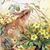 Rena Clemmer's profile image