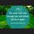 Tracey Rose Baskett's profile image