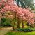 Annalisa Conserti-Jones's profile image