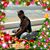 Loupnoir Herpin's profile image