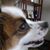 Jane E Hendricks's profile image