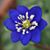 Dawn Mireles's profile image