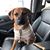 Jennifer Holmes Herlin's profile image