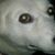 Clint Crampton's profile image