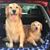 Jennifer Hendrickson's profile image