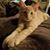 Clar Feeney's profile image