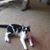 Francine Clark Vieceli's profile image