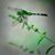 Donna Jones Bernstein's profile image
