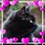 Anne Proffitt's profile image
