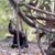 Jill D. Pruetz's profile image