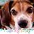 Teresa Price Hargis's profile image
